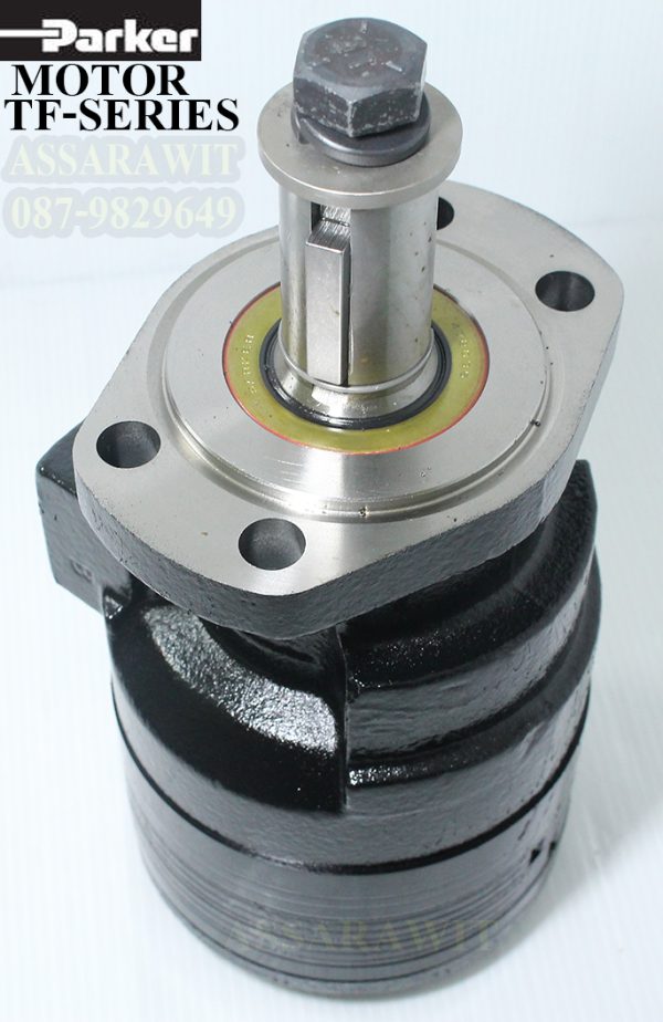 MOTOR TF-SERIES.3.